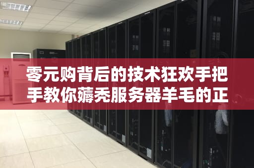 零元购背后的技术狂欢手把手教你薅秃服务器羊毛的正确姿势