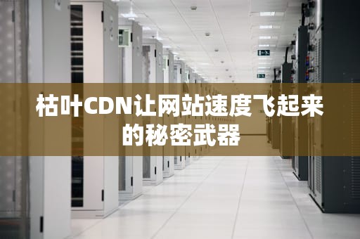 枯叶CDN让网站速度飞起来的秘密武器