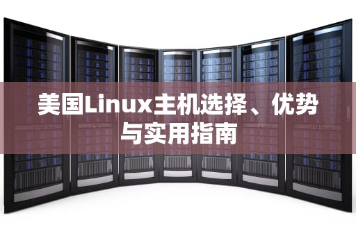 美国Linux主机选择、优势与实用指南