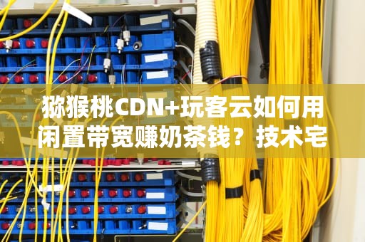 猕猴桃CDN+玩客云如何用闲置带宽赚奶茶钱？技术宅的致富经大公开