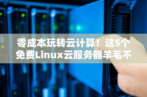 零成本玩转云计算！这5个免费Linux云服务器羊毛不薅就亏了