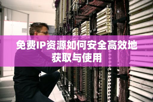 免费IP资源如何安全高效地获取与使用