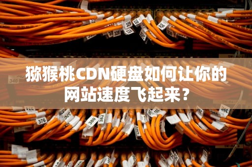猕猴桃CDN硬盘如何让你的网站速度飞起来？