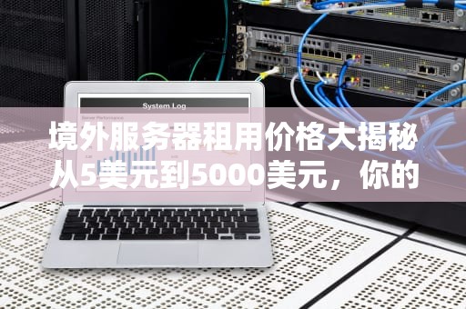 境外服务器租用价格大揭秘从5美元到5000美元，你的钱到底花在哪了？