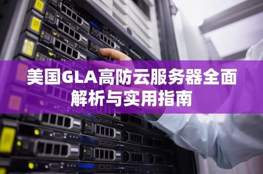 美国GLA高防云服务器全面解析与实用指南