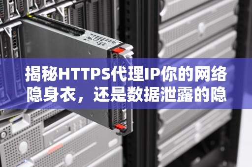 揭秘HTTPS代理IP你的网络隐身衣，还是数据泄露的隐患？