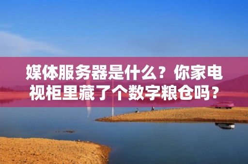 媒体服务器是什么？你家电视柜里藏了个数字粮仓吗？