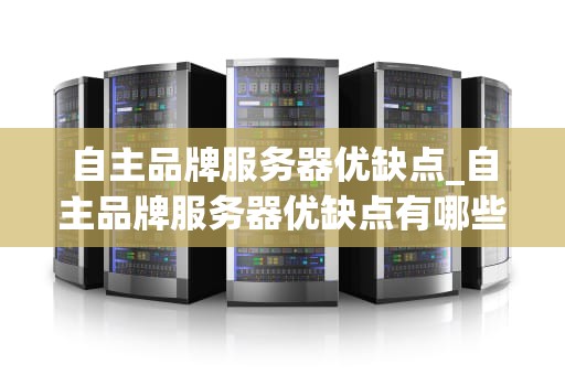 自主品牌服务器优缺点_自主品牌服务器优缺点有哪些_自主品牌服务器的优缺点分析