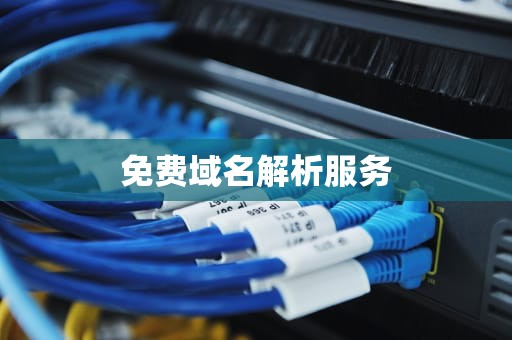 免费域名解析服务