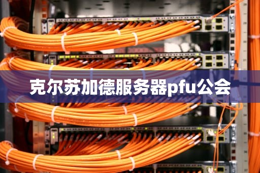 克尔苏加德服务器pfu公会