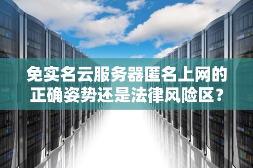 免实名云服务器匿名上网的正确姿势还是法律风险区？看完这篇你就懂了