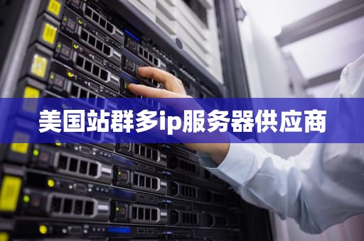 美国站群多ip服务器供应商