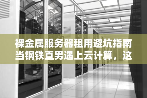 裸金属服务器租用避坑指南当钢铁直男遇上云计算，这波操作有多香？