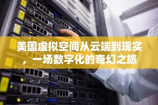 美国虚拟空间从云端到现实，一场数字化的奇幻之旅
