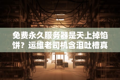 免费永久服务器是天上掉馅饼？运维老司机含泪吐槽真相