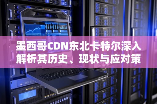 墨西哥CDN东北卡特尔深入解析其历史、现状与应对策略