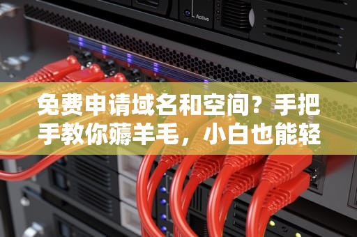 免费申请域名和空间？手把手教你薅羊毛，小白也能轻松上手！