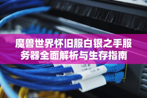 魔兽世界怀旧服白银之手服务器全面解析与生存指南