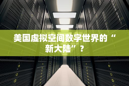 美国虚拟空间数字世界的“新大陆”？