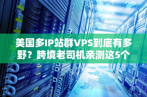 美国多IP站群VPS到底有多野？跨境老司机亲测这5个骚操作绝了！