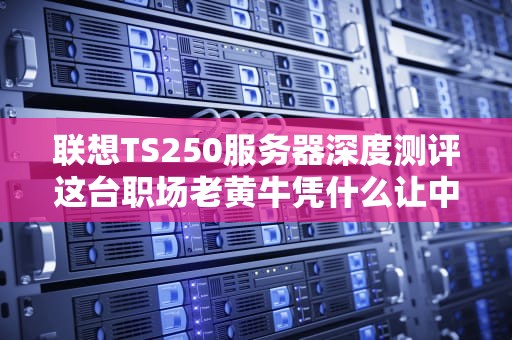 联想TS250服务器深度测评这台职场老黄牛凭什么让中小企业集体真香？