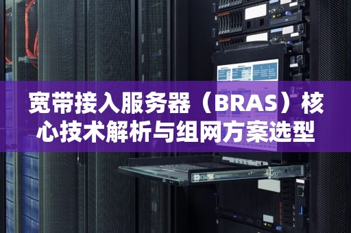 宽带接入服务器（BRAS）核心技术解析与组网方案选型指南