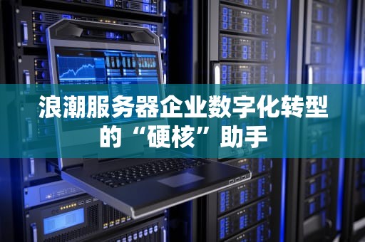浪潮服务器企业数字化转型的“硬核”助手