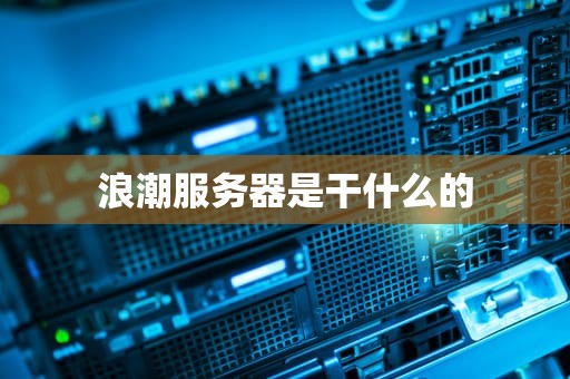 浪潮服务器是干什么的