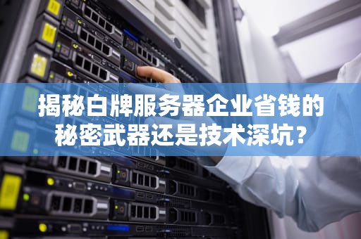 揭秘白牌服务器企业省钱的秘密武器还是技术深坑？