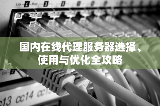 国内在线代理服务器选择、使用与优化全攻略