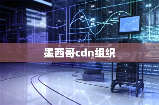 墨西哥cdn组织