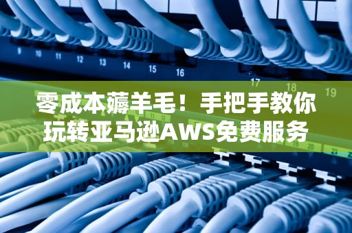 零成本薅羊毛！手把手教你玩转亚马逊AWS免费服务器（附防坑指南）