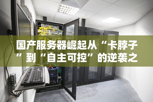 国产服务器崛起从“卡脖子”到“自主可控”的逆袭之路
