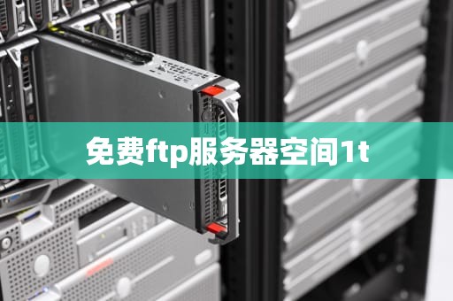 免费ftp服务器空间1t