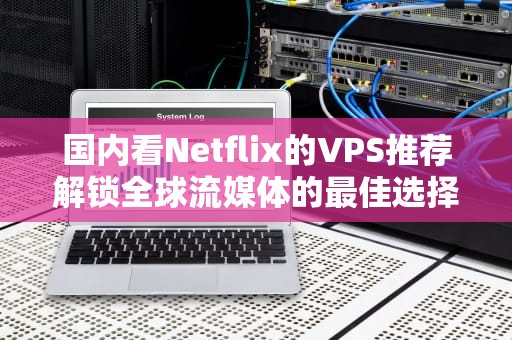 国内看Netflix的VPS推荐解锁全球流媒体的最佳选择