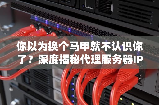 你以为换个马甲就不认识你了？深度揭秘代理服务器IP的魔法内幕