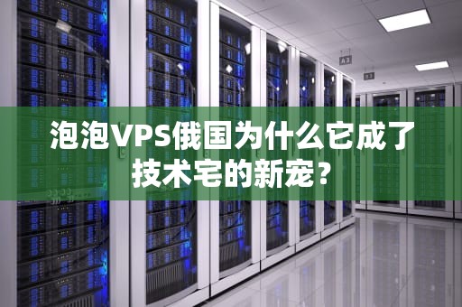 泡泡VPS俄国为什么它成了技术宅的新宠？