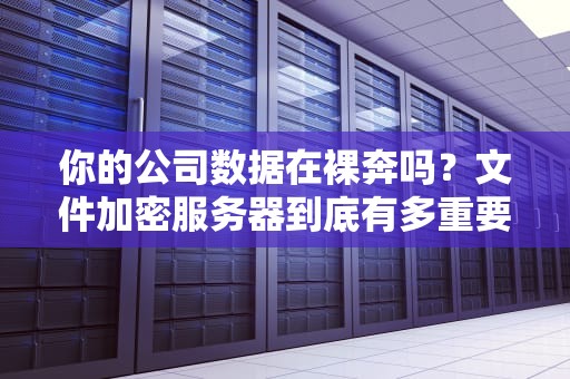 你的公司数据在裸奔吗？文件加密服务器到底有多重要！