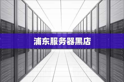 浦东服务器黑店