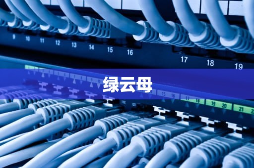 绿云母