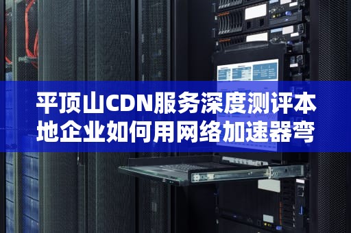 平顶山CDN服务深度测评本地企业如何用网络加速器弯道超车？看完这篇避坑指南你就懂了