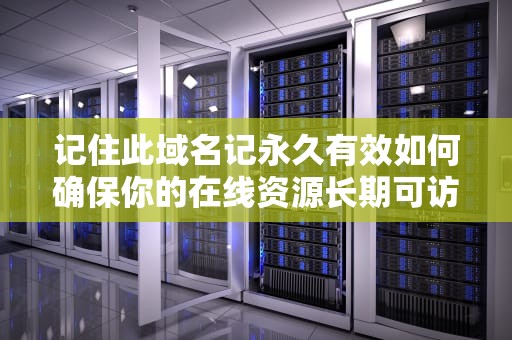 记住此域名记永久有效如何确保你的在线资源长期可访问