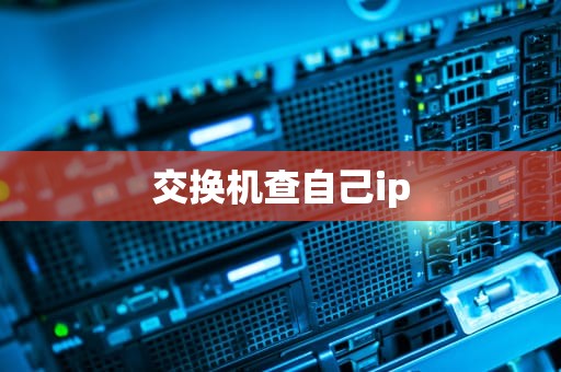 交换机查自己ip