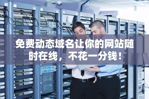 免费动态域名让你的网站随时在线，不花一分钱！