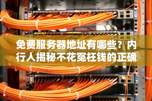 免费服务器地址有哪些？内行人揭秘不花冤枉钱的正确姿势