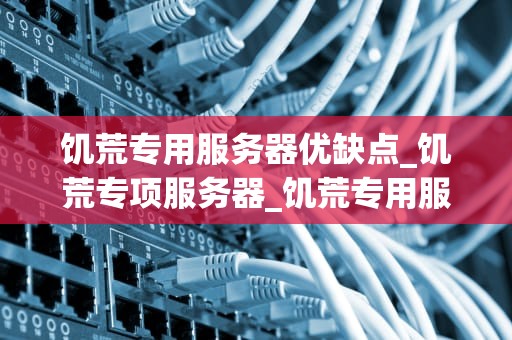 饥荒专用服务器优缺点_饥荒专项服务器_饥荒专用服务器的优缺点分析