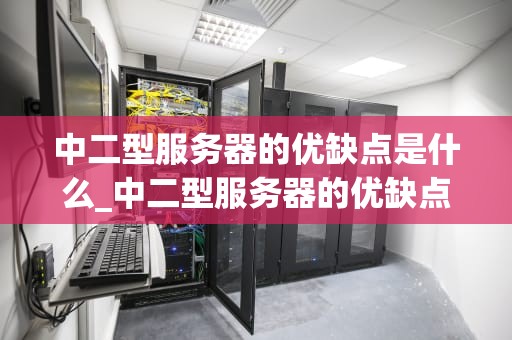 中二型服务器的优缺点是什么_中二型服务器的优缺点是什么意思_中二型服务器的优缺点分析