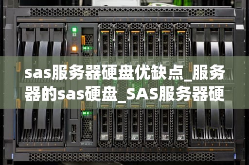 sas服务器硬盘优缺点_服务器的sas硬盘_SAS服务器硬盘的优缺点分析
