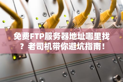 免费FTP服务器地址哪里找？老司机带你避坑指南！