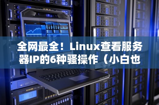 全网最全！Linux查看服务器IP的6种骚操作（小白也能看懂）